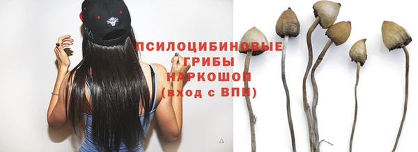 стаф Медвежьегорск