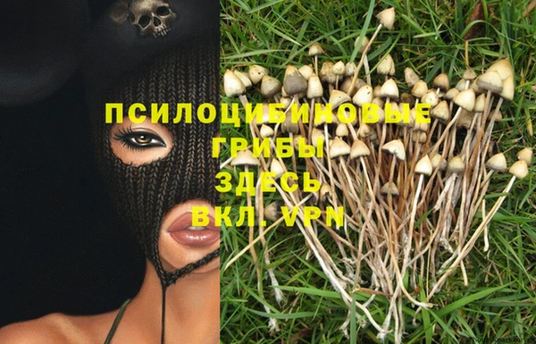ECSTASY Мегион