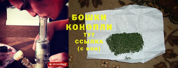 стаф Медвежьегорск
