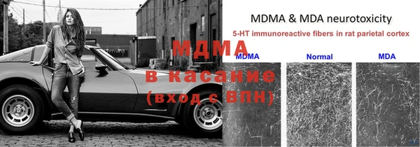 стаф Медвежьегорск