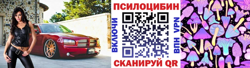 Галлюциногенные грибы Cubensis  нарко площадка формула  Красноармейск 
